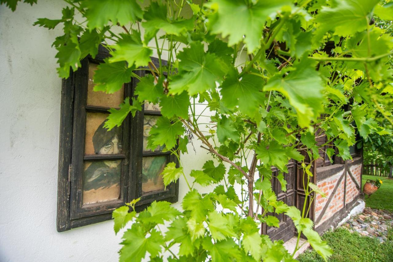 Lodge Morava Врнячка-Баня Экстерьер фото