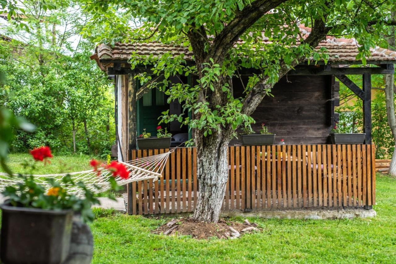 Lodge Morava Врнячка-Баня Экстерьер фото